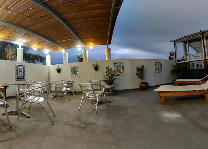 Posada Del Arbol